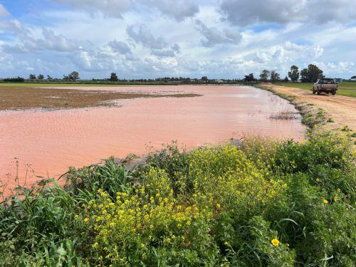 Report on Cyprus’ agrifood ecosystem provides roadmap for strengthening innovation