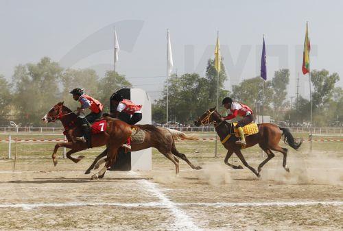 Στους Πανελλήνιους Αγώνες Ιππασίας για πρώτη φορά η Κύπρος