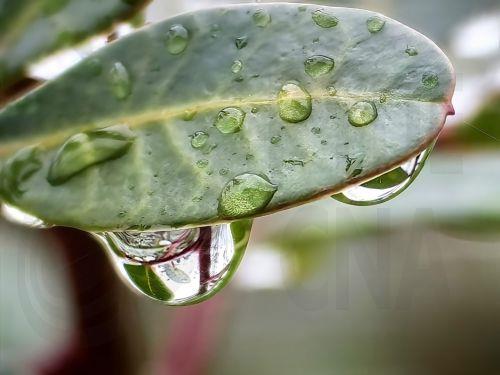 Ανοιχτοί για όλα τα οχήματα ορεινοί δρόμοι αλλά ολισθηροί, λέει η Αστυνομία