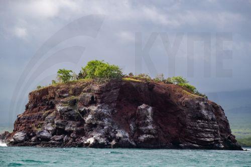 Ο Ιανουάριος του 2025 ήταν ο πιο θερμός μήνας που καταγράφτηκε ποτέ στην υφήλιο