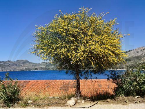 Κοπέρνικος: Το 2025 θα γίνει το δεύτερο θερμότερο έτος που καταγράφηκε ποτέ