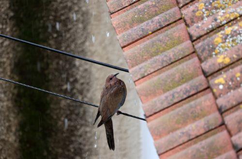 ​​​​​​​Kıbrıs’ta Hava Durumu