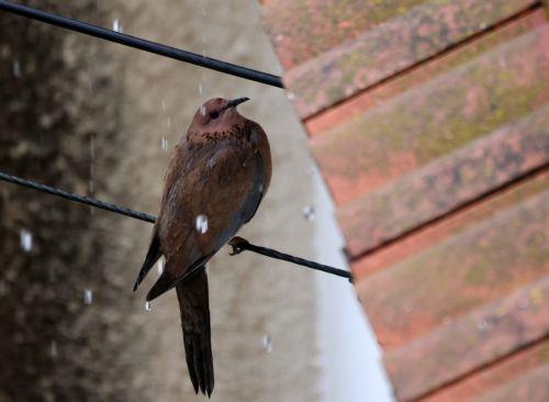 ​​​​​​​Kıbrıs’ta Hava Durumu