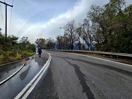 Ένα εκτάριο με χαμηλή άγρια βλάστηση έκαψε πυρκαγιά παρά την έξοδο Κοτσιάτη