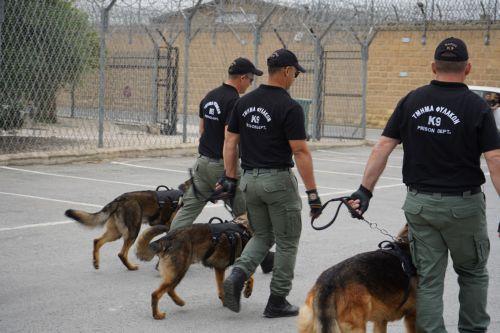 Οι δυνατότητες που έχουν τα σκυλιά Κ-9 παρουσιάστηκαν στις Κεντρικές Φυλακές