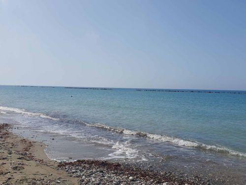 Περίπου 8 εκ. τόνοι πλαστικών απορριμμάτων ετησίως καταλήγουν στους ωκεανούς