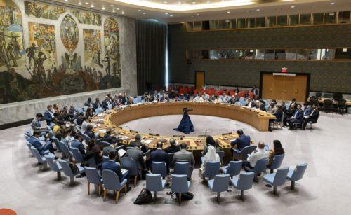 Μόνιμος Παρατηρητής Παλαιστίνης στον ΟΗΕ: “Σημείο καμπής για το Παλαιστινιακό η Διάσκεψη για τη Λύση των Δύο Κρατών”