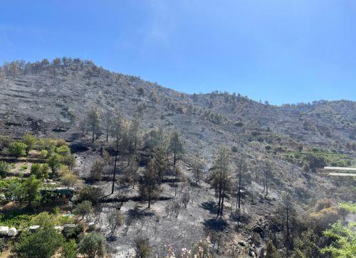 Πριν το τέλος Οκτώβρη η Α Φάση των αντιπλημμυρικών στην ορεινή Λεμεσό, λέει ο Α.Γρηγορίου
