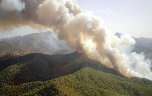 Υπό πλήρη έλεγχο δασική πυρκαγιά σε περιοχή της κοινότητας Καλού Χωριού