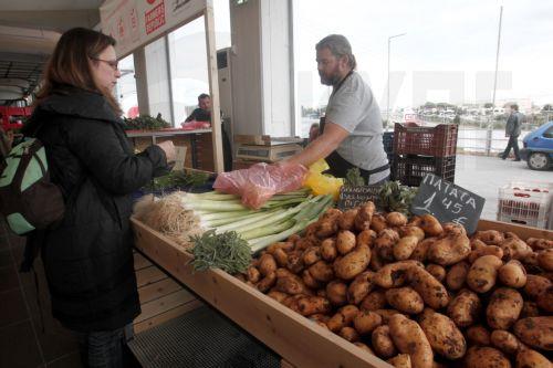 Τμ.Γεωργίας: Στους 1.669 οι Κύπριοι παραγωγοί με βιολογική πιστοποίηση το 2024