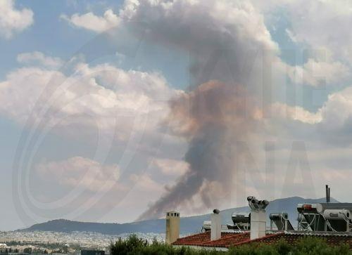 Υπό πλήρη έλεγχο τέθηκε φωτιά στα Λύμπια