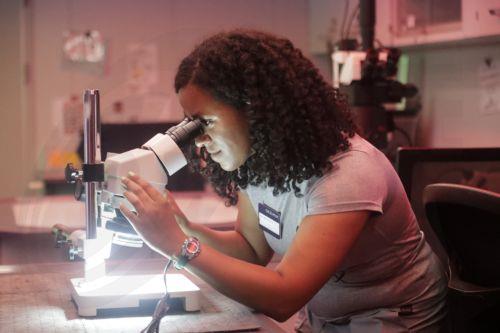 Διεθνή επιστημονικά κείμενα γνωστοποιεί η Κυπριακή Ακαδημία Επιστημών