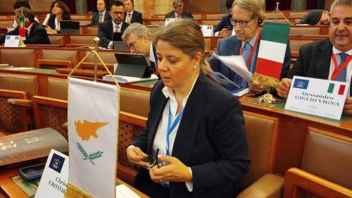 Στις παραβιάσεις ανθρωπίνων δικαιωμάτων στην Τουρκία, αναφέρθηκε στην ΚΣΣΕ η Χ. Ερωτοκρίτου