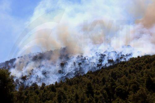 Υπό πλήρη έλεγχο δασική πυρκαγιά σε περιοχή της κοινότητας Λυθροδόντα