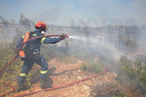 Greece sends 26 forest firefighters to assist in firefighting efforts