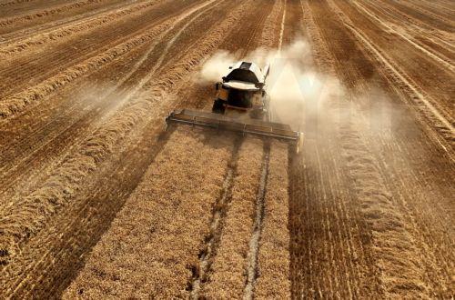 Κομισιόν και FAO ανέδειξαν τους κινδύνους για τη γεωργία λόγω κλιματικής αλλαγής