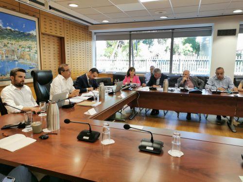 مناقشة بين قبرص ولجنة التوظيف والشؤون الاجتماعية في البرلمان الأوروبي