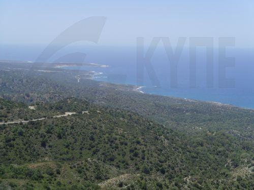 Αντιδρούν οι Φίλοι του Ακάμα για την Έκθεση βελτίωσης του δρόμου Λουτρά της Αφροδίτης-Κακοσκάλι