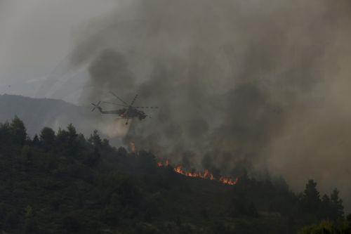 Aποτράπηκε επέκταση φωτιάς εντός του Δασικού Πάρκου Αθαλάσσας