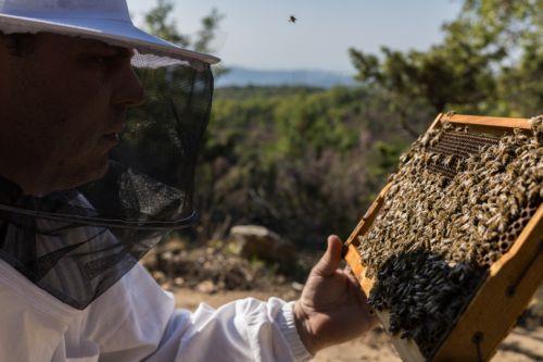 Άρχισε η υποβολή αιτήσεων για επιδότηση πετρελαίου σε γεωργούς, δασοκόμους, μελισσοκόμους
