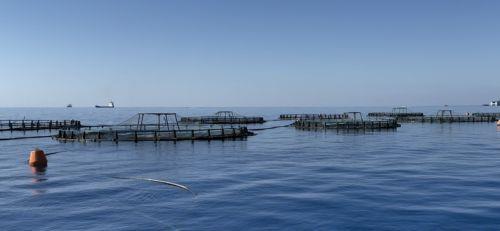 Αν. Δικαστήριο: Απόρριψη αίτησης ακύρωσης εντάλματος σύλληψης πλοίου για ζημιές