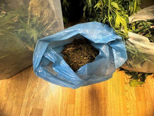 Δωδεκαετής φυλάκιση σε 23χρονο για παράνομη εισαγωγή 20 περίπου κιλών κάνναβης