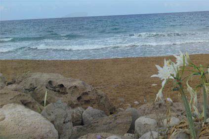 Επεκτείνεται ο παραλιακός πεζόδρομος Χλώρακας