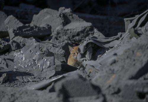 Τελευταίος κύκλος διαπραγματεύσεων για εκεχειρία στη Γάζα ξεκινά στο Κατάρ