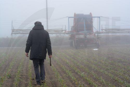 Μείωση 2,6% στον δείκτη τιμών ενδιάμεσης ανάλωσης και επενδύσεων στη γεωργία το 1ο τρίμηνο