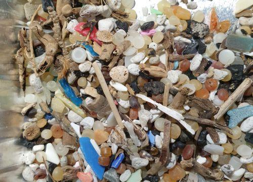 Κύπριοι ερευνητές σε ευρωπαϊκή έρευνα για την ανάπτυξη βιο-υλικών