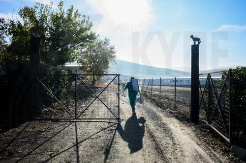 Η ενημέρωση για αφθώδη πυρετό να γίνεται από αρμόδιες Υπηρεσίες λέει ο Βύρας, στήριξη κτηνοτρόφων ζητά ο Αρμένης