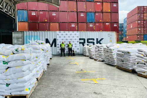 Κατάσχεση 25 τόνων κοκαΐνης σε ένα μήνα στην Κολομβία