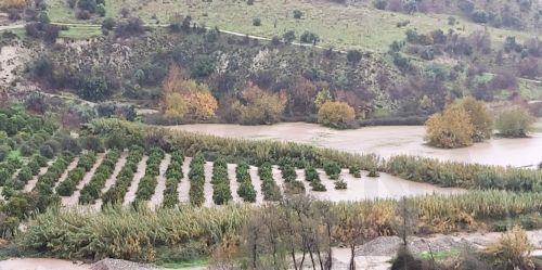 وزيرة الزراعة تحث المفوضية الأوروبية على تعزيز الحماية وتقييم التأثيرات في مجالي الزراعة والأمن الغذائي