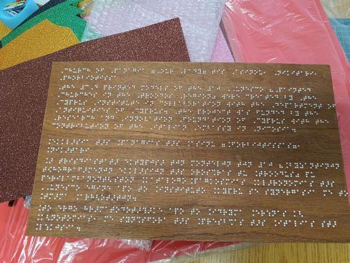 Η χρήση της γραφής Μπράιγ στην Κύπρο: δυνατότητες και προκλήσεις