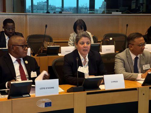 Η Βουλευτής Χρ. Ερωτοκρίτου σε συνάντηση Επιτροπών Κοινοβουλίων χωρών ΕΕ