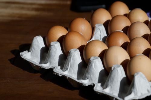 Significant increase of 51.5% for poultry eggs for hatching in February, Statistical Service says