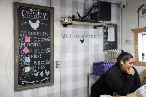 Πρώτο ανθρώπινο κρούσμα της γρίπης των πτηνών στο Μεξικό