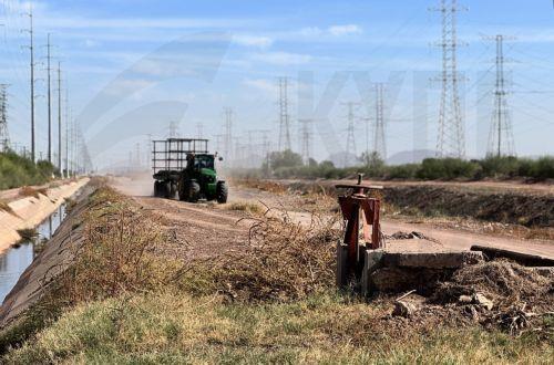 Αναβιώνει Δέλτα ποταμού στο Μεξικό με φυτείες βαμβακιού