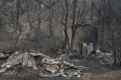 Δεκάδες νεκροί από φωτιές στη Ν.Κορέα, βροχές βοήθησαν το έργο της πυρόσβεσης