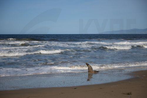 Διεθνής συνεργασία για προστασία θαλάσσιου περιβάλλοντος σε συζήτηση για UNOC3