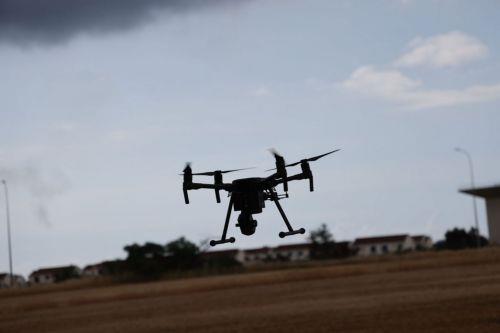 Μειώθηκε κατά 97% η παγίδευση πτηνών στις Βρετ. Βάσεις, σύμφωνα με στοιχεία τους