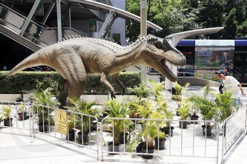 Oστά ενός άγνωστου είδους δεινοσαύρου ξεχασμένα σε συρτάρι ινστιτούτου στη Μογγολία