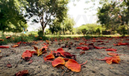Η ανθρωπότητα συμπεριφέρεται σαν το παραβατικό παιδί της Μητέρας Γης λέει ο ΓΓ ΟΗΕ
