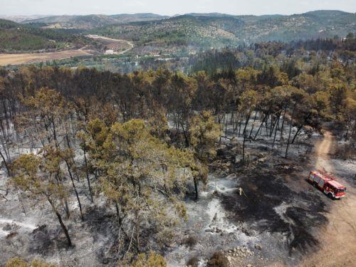 Ενεργοποιήθηκε ο Ευρ. Μηχανισμός Προστασίας για πυρκαγιές στο Ισραήλ με συμμετοχή Κύπρου, λέει η Πρόεδρος Κομισιόν