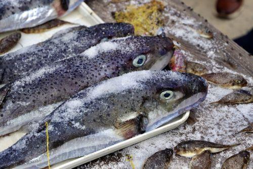 Παρατηρητήριο Τιμών: Πιο ακριβά μαλάκια και ψάρια, πιο φτηνό το κρέας τον Σεπτέμβριο