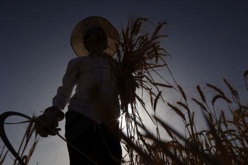 Προκήρυξη επενδυτικού μέτρου στρατηγικού σχεδίου για ΚΑΠ ύψους 67,5 εκ ευρώ