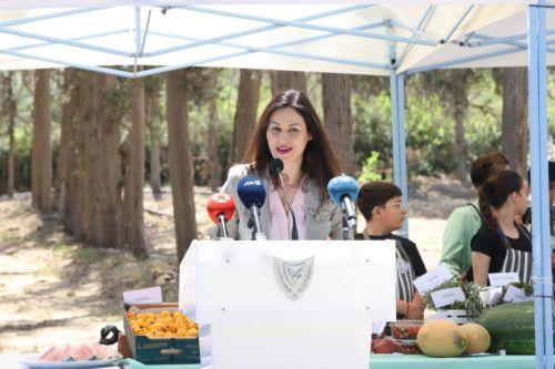 Over 500 reactivation applications in fire-stricken areas, says Panayiotou