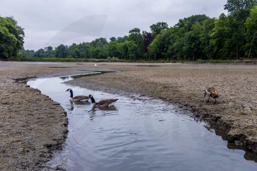 EU Water Resilience Strategy beneficial for Cyprus says Agriculture Ministry