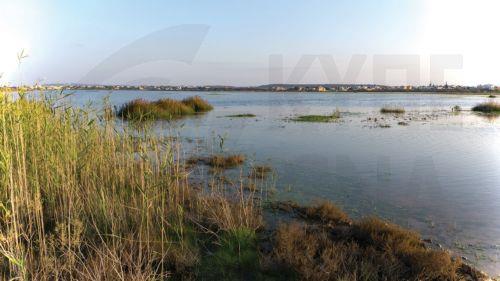 Στηρίζει και αναδεικνύει τον υγροβιότοπο Παραλιμνίου, λέει ο Δήμος