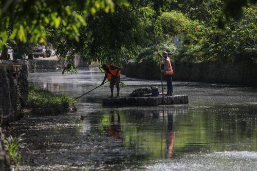«Ιερό μας καθήκον» η προστασία της φύσης τόνισε η ΠτΒ με αφορμή την Ημέρα Περιβάλλοντος